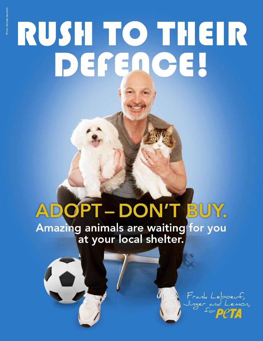 Adopt, Don't Buy': Frank Lebœuf Defends Animals in New PETA campaign -  Media Centre - PETA UK